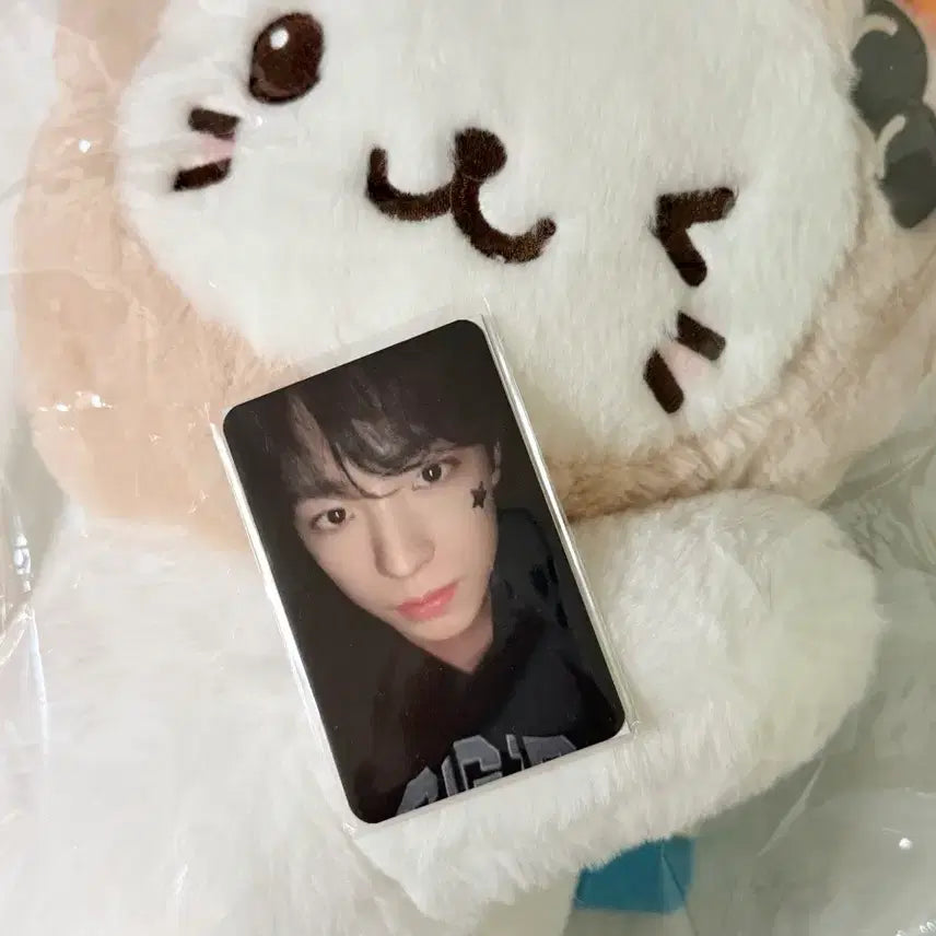 [BUNJANG] NCT WISH Yushi Bubble Cat Bag Lucky Draw / 판매) 엔시티위시 버블냥 가방 로그인서울 응원봉 양도 nctwish유우시