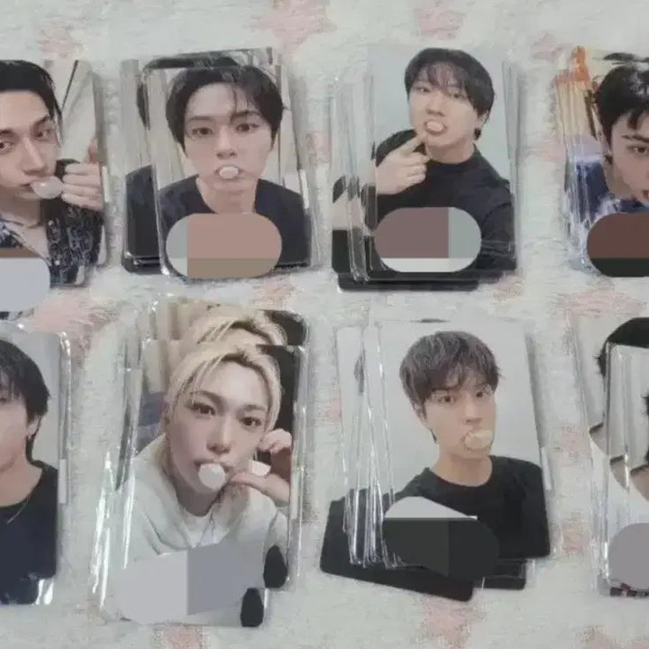 [BUNJANG] Stray Kids OT8 Photocard Set / 스키즈 FANS 스트레이키즈