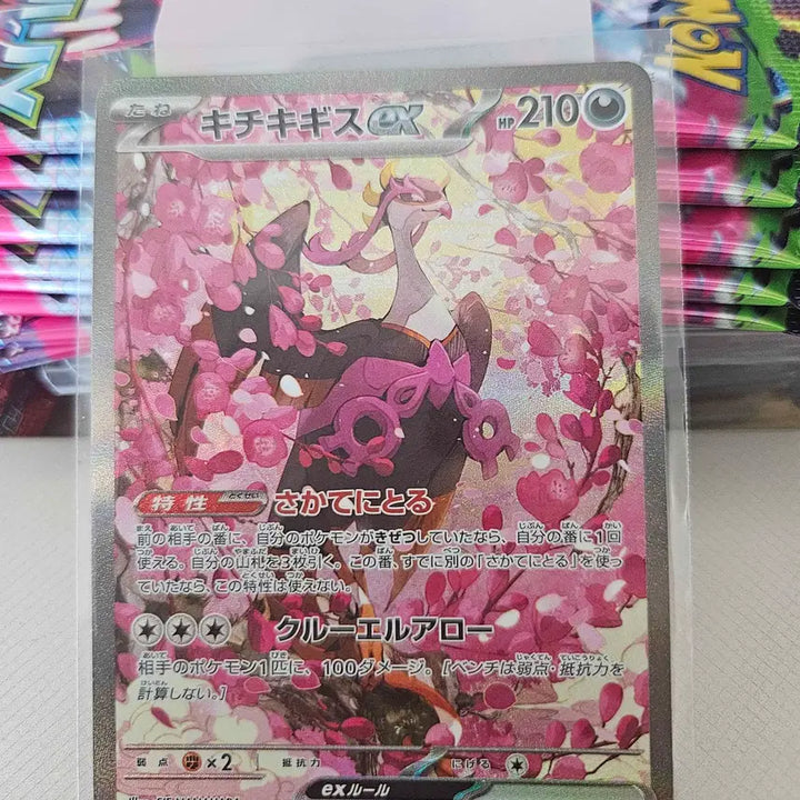 [BUNJANG] Pokemon Card Japanese - Phantom/Dragonite MA, Groudon SAR Bundle Set / 포켓몬카드 일판 팬텀/망나뇽 ma , 기로치 sar 일괄 판매합니다.