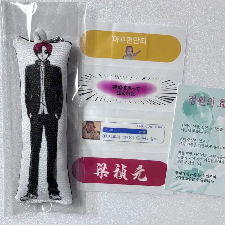 [BUNJANG] Enhypen Jungwon Dakimakura Keyring + POB (Special Event Benefit) / 엔하이픈 양정원 생카 특전 양도 포카 인형 콘서트