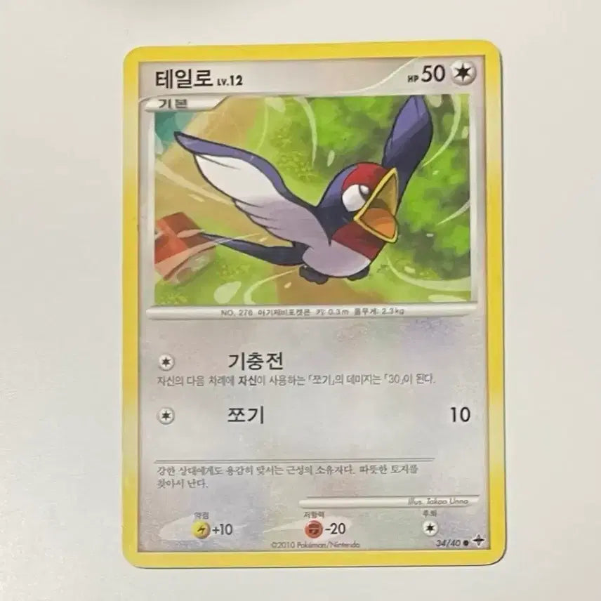 [BUNJANG] Pokemon 2010 DP Series Tailo / 귀여운 포켓몬카드 2010 dp 테일로