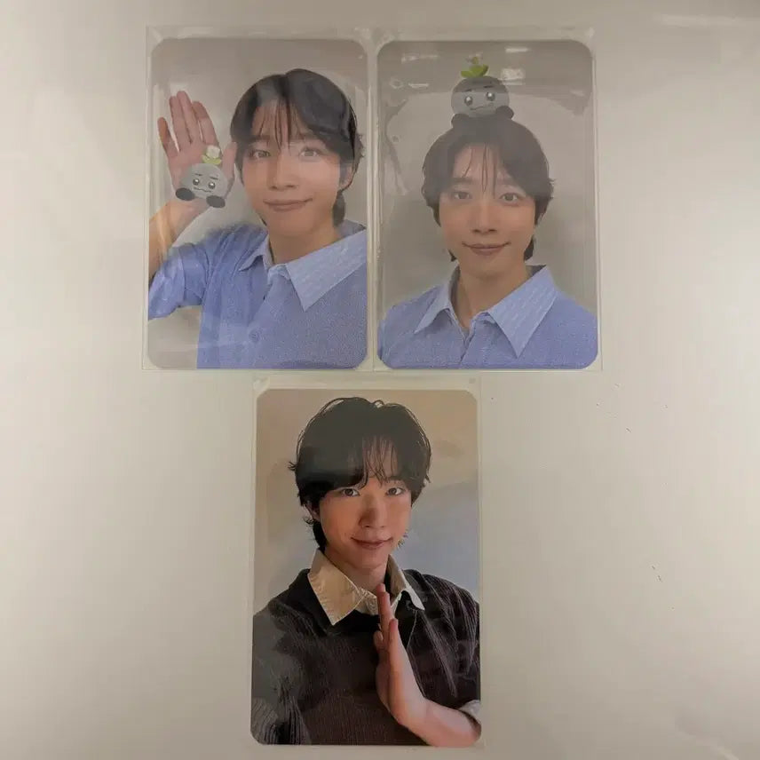 [BUNJANG] N.Flying Seo Dong Sung Photocard Bundle Set / 엔플라잉 서동성 포카 일괄