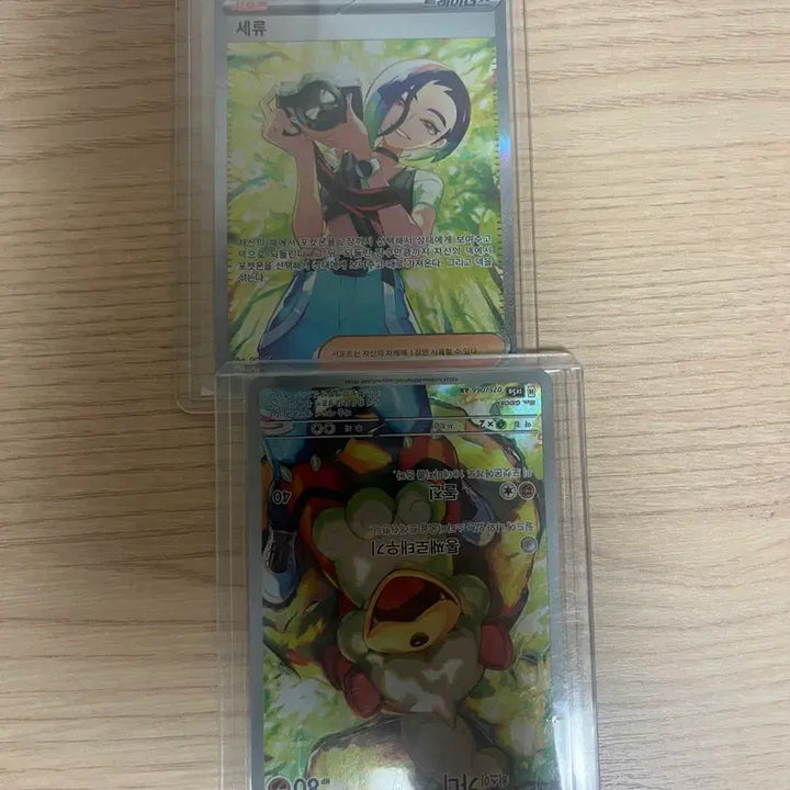 [BUNJANG] Pokemon Card Ryu &amp; Garde Illustration Set / 포켓몬카드 세류 sar &amp; 가디 ar 일러세트(교환 가능)