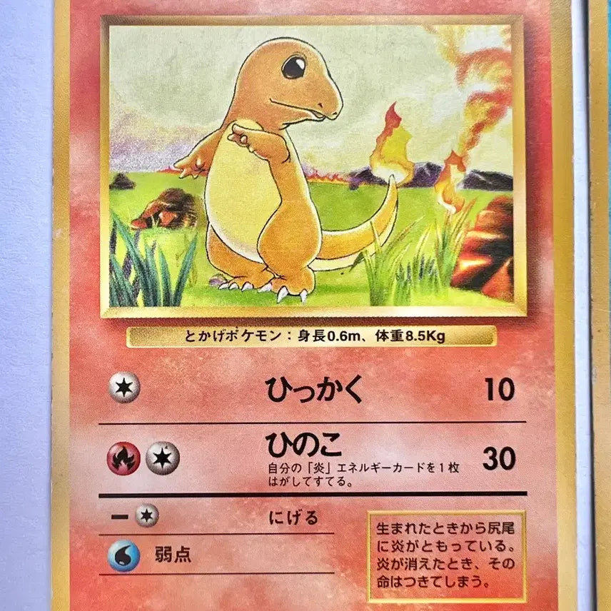 [BUNJANG] Pokemon Japanese Early Edition Charizard, Blastoise, Venusaur, Eevee Cards / 포켓몬스터 포켓몬 초기  일판 파이리 꼬부기 이상해씨 이브이 카드