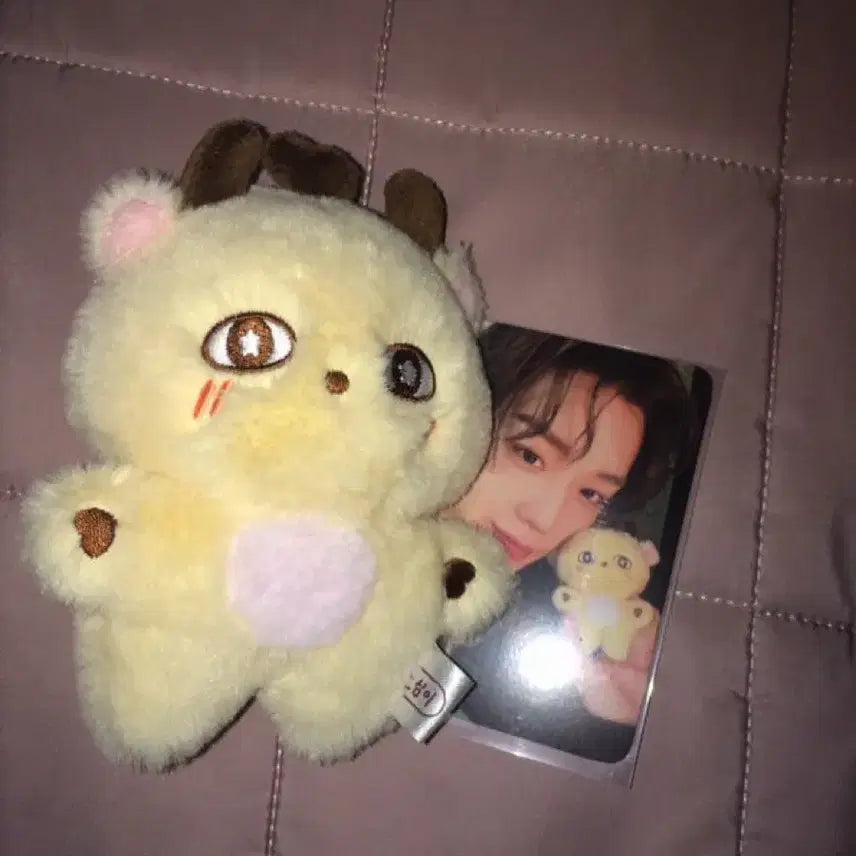 [BUNJANG] Seoshim Doll Photocard Bundle Set / 소심이 팔아여