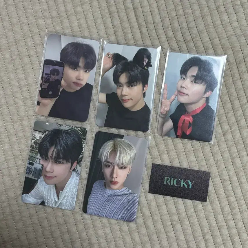 [BUNJANG] ZB1 Park Gunwook Ricky Photocard Bundle Set / 제베원 박건욱 리키 포카 일괄