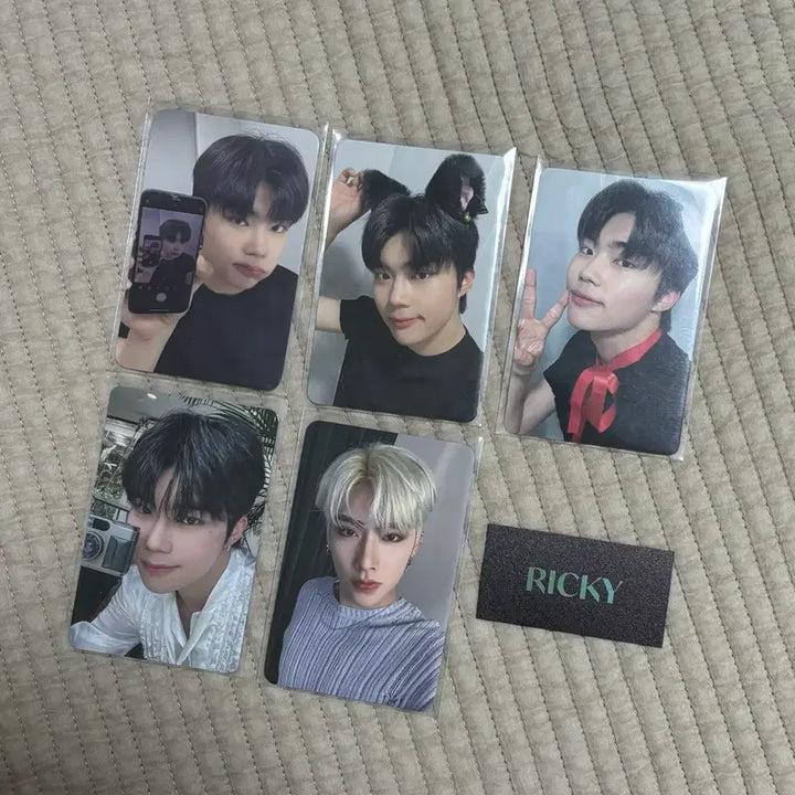[BUNJANG] ZB1 Park Gunwook Ricky Photocard Bundle Set / 제베원 박건욱 리키 포카 일괄