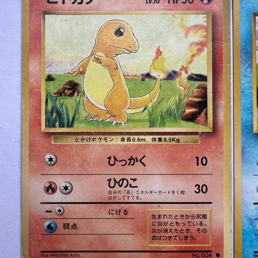 [BUNJANG] Pokemon Japanese Early Edition Charizard, Squirtle, Bulbasaur, Eevee Cards / 포켓몬스터 포켓몬 초기 일판 파이리 꼬부기 이상해씨 이브이 카드 (2)