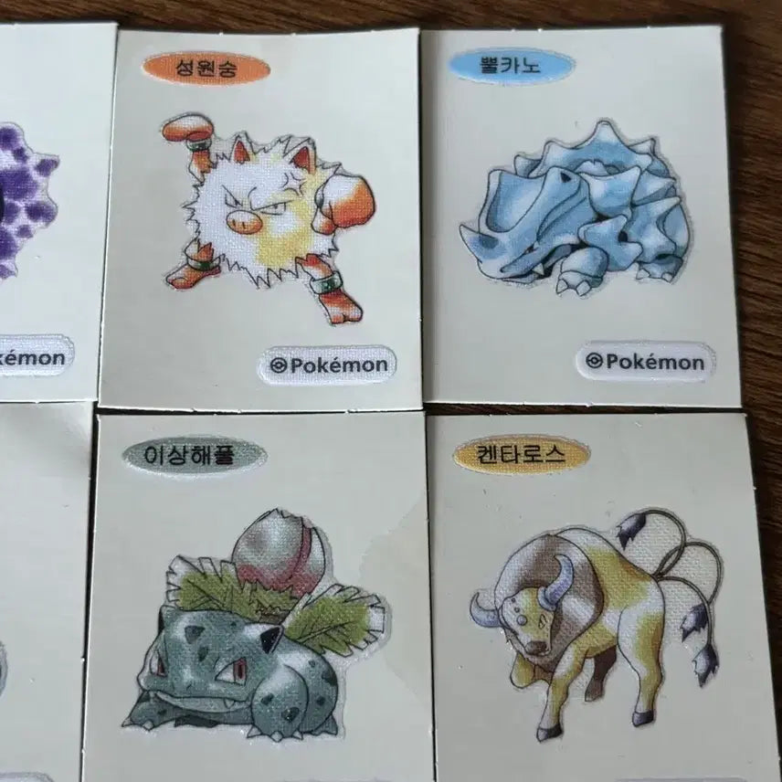 [BUNJANG] Pokemon 30th Anniversary Artwork Ttibusil Sticker Set / 포켓몬스터 30주년 아트웍 띠부씰