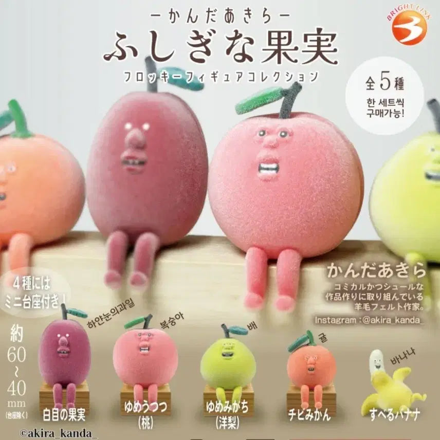 [BUNJANG] Assorted Novelty Fruit Gacha Figures - Set of 5 / 신기한 과일 가챠 피규어