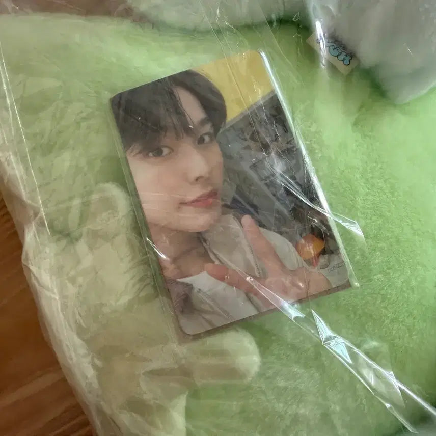 [BUNJANG] NCT WISH Wish We Choo Cushion Riku Version (Sealed) / [미개봉] 엔시티위시 위시 위츄 쿠션 리쿠 버전