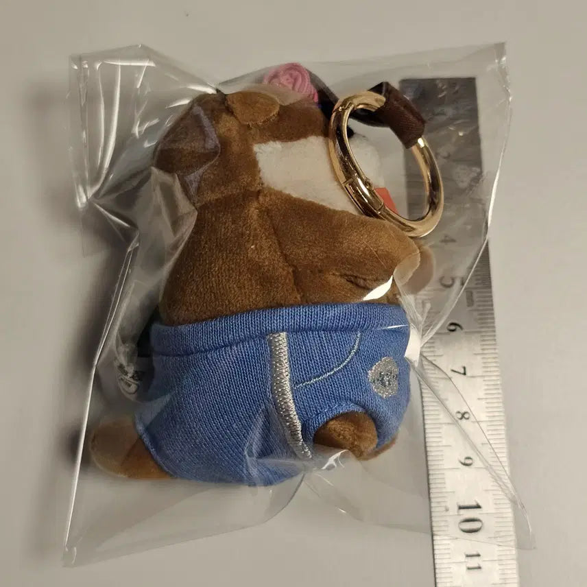[BUNJANG] Woosoo Woosoo Home Protector Doll Keychain / [인형 키링] 우소우소 홈프로텍터 인형 키링 판매합니다.