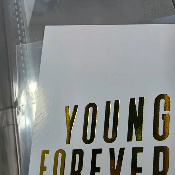 [BUNJANG] BTS Young Forever &