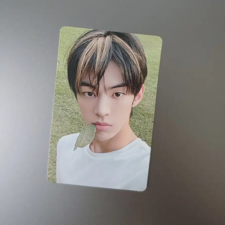 [BUNJANG] TWS Dohoon Photocard / 투어스 도훈 포카
