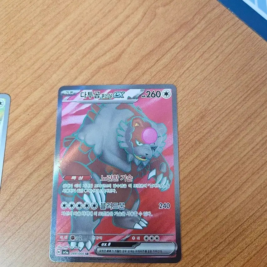 [BUNJANG] DatugomEX SR / 다투곰EX SR
