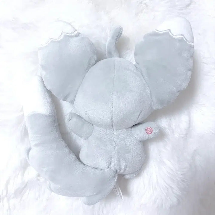 [BUNJANG] Pokemon Center 2010 Chirammy Plush / 포켓몬센터 2010년도 치라미 인형