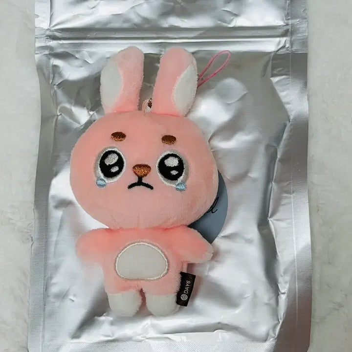 [BUNJANG] Day6 Wonpil Unfiltered Fil-kki Ppueng-pil Doll Keychain / 언필터드 필끼 뿌엥필 인형 키링 양도 데이식스 원필