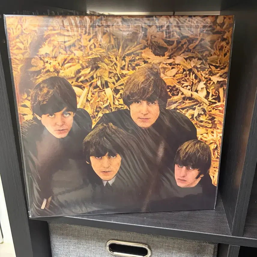 [BUNJANG] The Beatles - Beatles For Sale 2014 Mono LP / 비틀즈 - Beatles For Sale 2014 모노 LP