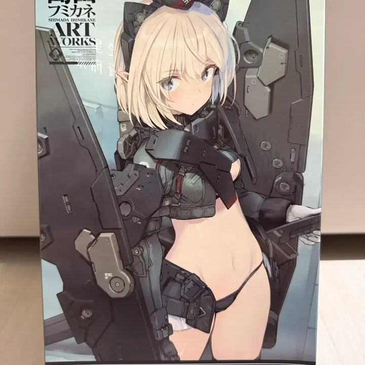 [BUNJANG] Kotobukiya Fumikane Shimada Plastic Model Kit / 코토부키야 시마다 후미카네 프라모델