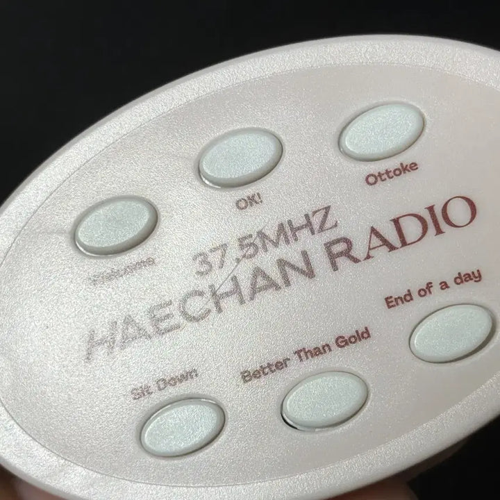 [BUNJANG] NCT Haechan Radio 37.5MHz Voice Keychain / 엔시티 해찬 라디오 37.5MHz 보이스 키링 양도