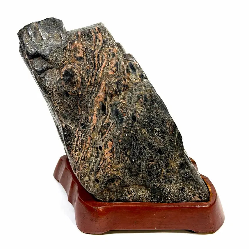 [BUNJANG] Yeongdeok Tiger Stripe Stone Raw Stone Suiseki / 영덕 공작호피석 원석 수석