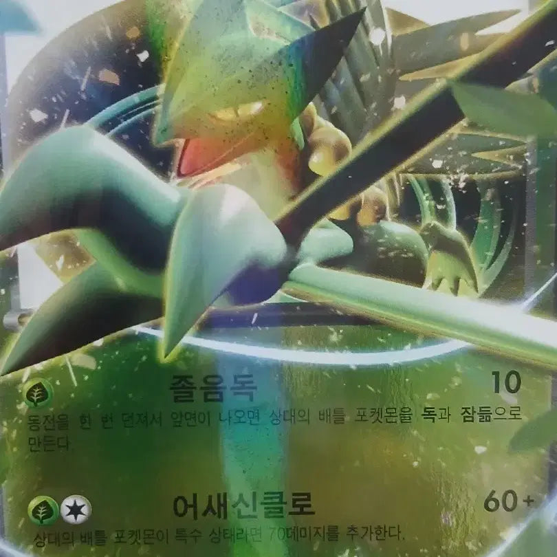 [BUNJANG] Pokemon TCG - Treecko EX / 포켓몬 카드 나무킹 EX