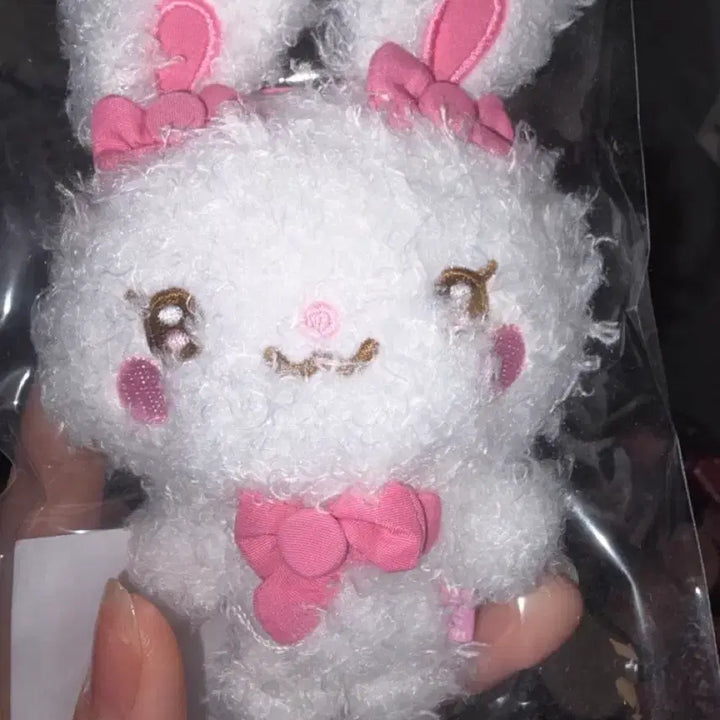 [BUNJANG] Hatsune Miku HaToHats Youha HaGyuHa Torami Eina Jiyu Stella Ian Photocard Lemon Pop-up / 하츠투하츠 유하 하뀨하 토라뮈 에이나 지우 스텔라 이안 포카 레몬탱 팝업