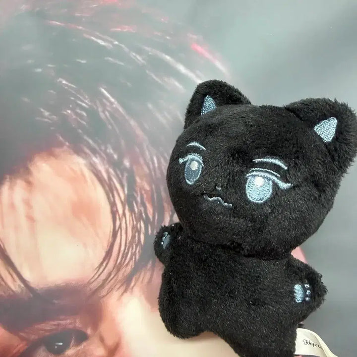 [BUNJANG] ZB1 Kim Ji Woong Slogan &amp; Kkamungnyang Doll Bundle Set / 제베원 김지웅 슬로건 + 깜웅냥 인형 일괄 양도