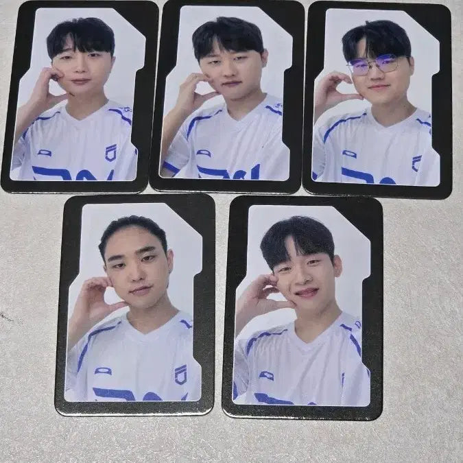 [BUNJANG] DNFiX 2025 Forest Card Bundle Set / 디엔프릭스 2025 숲 카드 일괄 두두 표식 불독 버서커 라이프