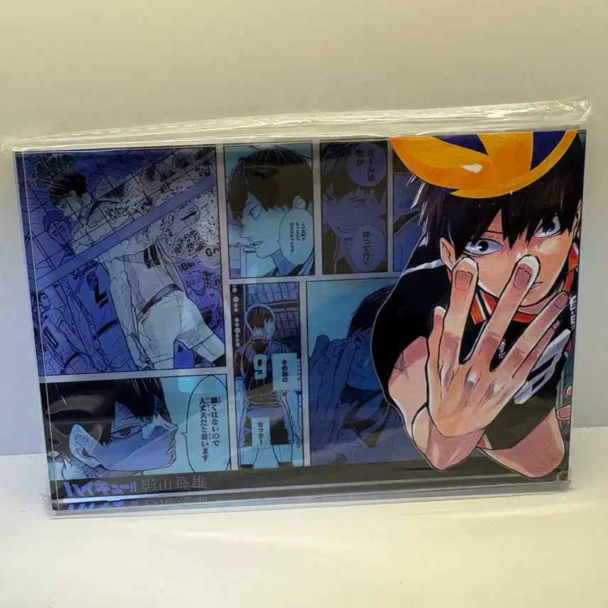 [BUNJANG] Haikyuu!! Tobio Kageyama Acrylic Block / 하이큐 카게야마 토비오 아크릴 블럭