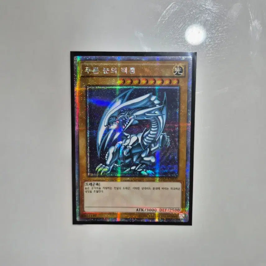[BUNJANG] Blue-Eyes White Dragon 25th Anniversary Quarter Century Secret Rare Card / 푸른 눈의 백룡 25 쿼터센츄리 시크릿레어 판매