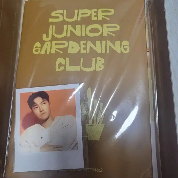 [BUNJANG] Super Junior 2024 Season&