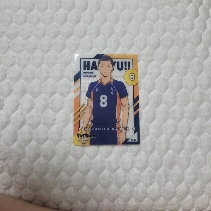 [BUNJANG] Haikyuu!! Blue Lock Photocard Set / 하이큐, 블루록 포카