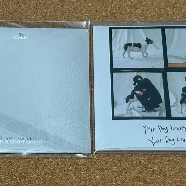 [BUNJANG] Colde Your Dog Loves You Sealed CD / Colde 콜드 Your Dog Loves You ,시 미개봉