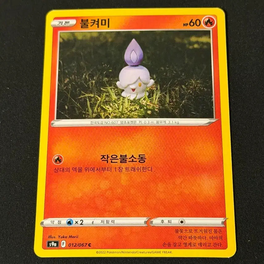[BUNJANG] Yukamoori Illustration Pokemon Card Litwick / 유카모리 일러 포켓몬카드 불켜미