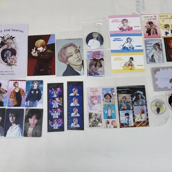 [BUNJANG] Yesung Birthday Cafe Goods Collection / [가격내림]슈퍼주니어 예성 생카 굿즈 일괄