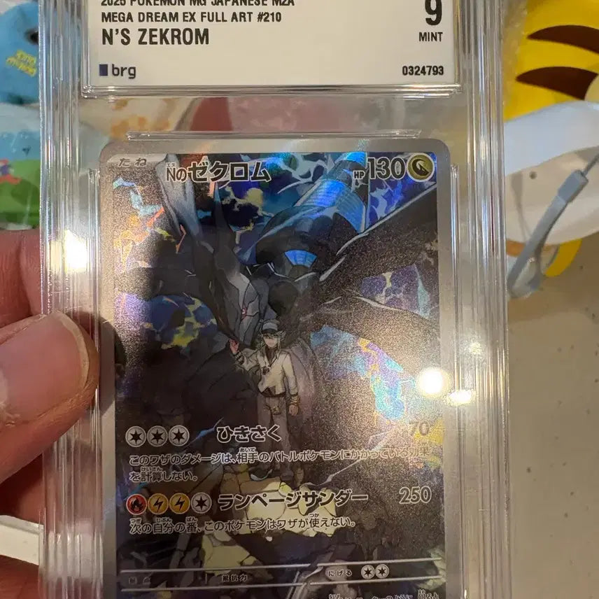 [BUNJANG] Pokemon Card N&