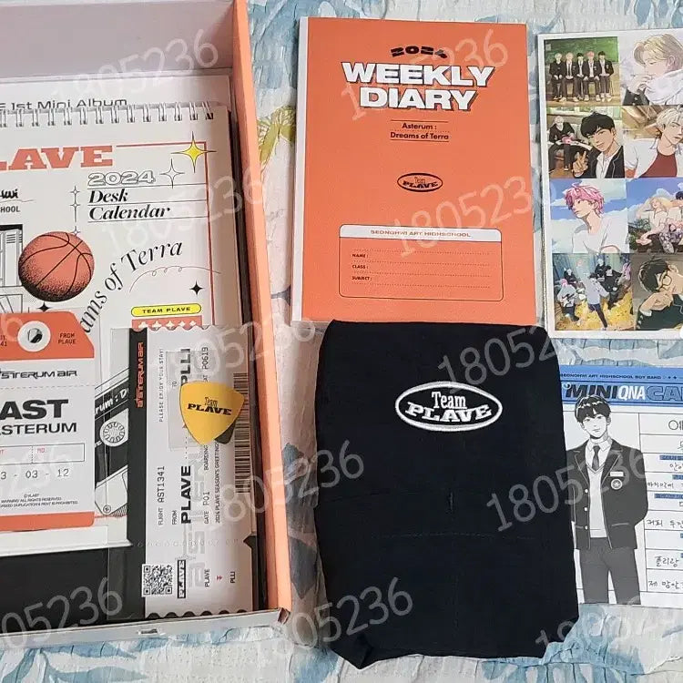 [BUNJANG] PLAVE 2024 Season&