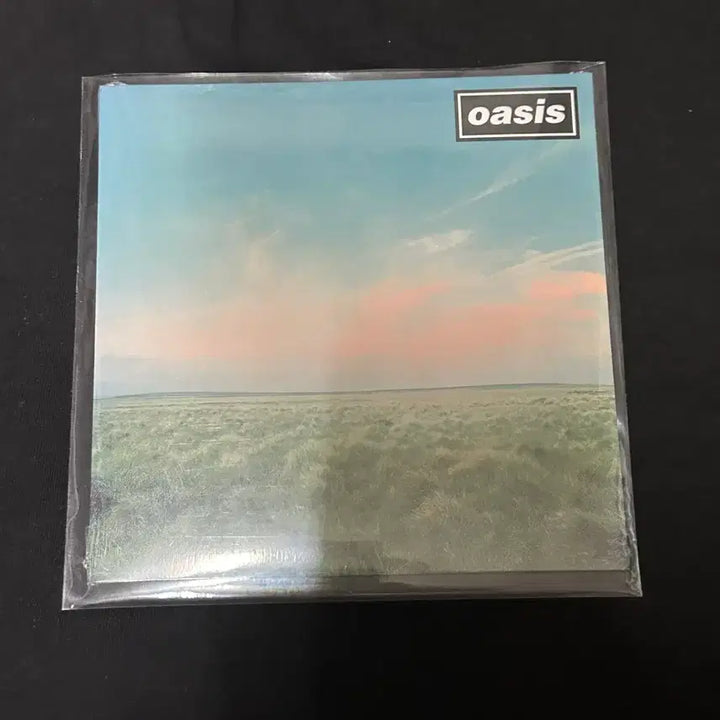 [BUNJANG] Oasis Whatever Limited Edition 7-Inch LP / 오아시스 whatever 7인치 한정 lp