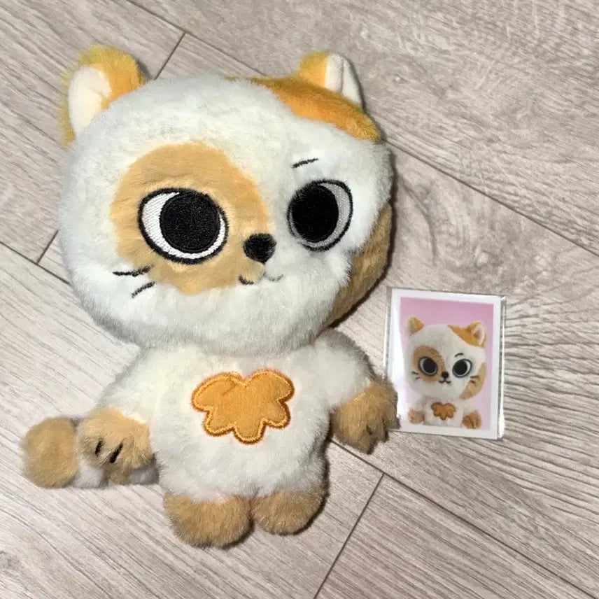 [BUNJANG] Yebbinyang Catbbi 2nd Plush Bundle Set / 일괄) 예삐냥 쁘넥도 팝업 캣삐 2기 플러쉬 보넥도 성호