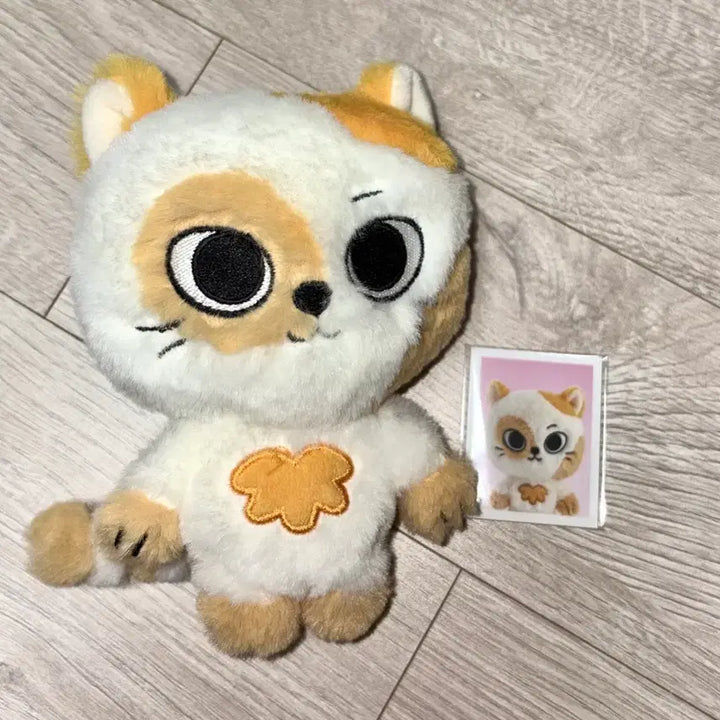 [BUNJANG] Yebbinyang Catbbi 2nd Plush Bundle Set / 일괄) 예삐냥 쁘넥도 팝업 캣삐 2기 플러쉬 보넥도 성호