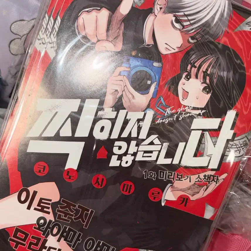 [BUNJANG] Photobook Booklet / 찍히지않습니다 소책자