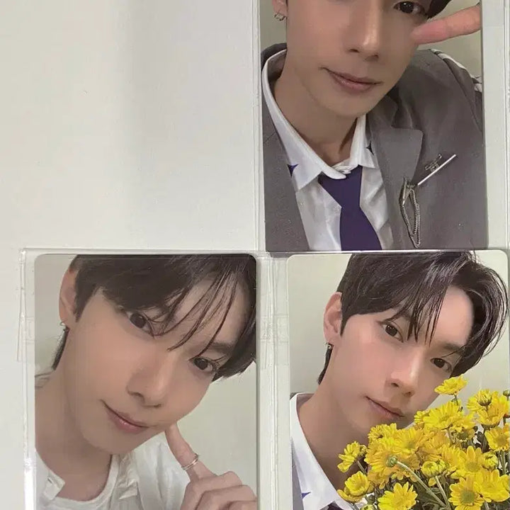 [BUNJANG] Choi Ripwoo Bopl Photocard Bundle Set 7ea / 최립우 보플 포카 일괄 7매