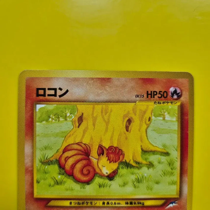 [BUNJANG] Pokemon Card 1996 Vulpix Star Card - Limited Edition 1st Edition / 포켓몬카드 1996 s급 희소 식스테일 스타카드 팜 초판