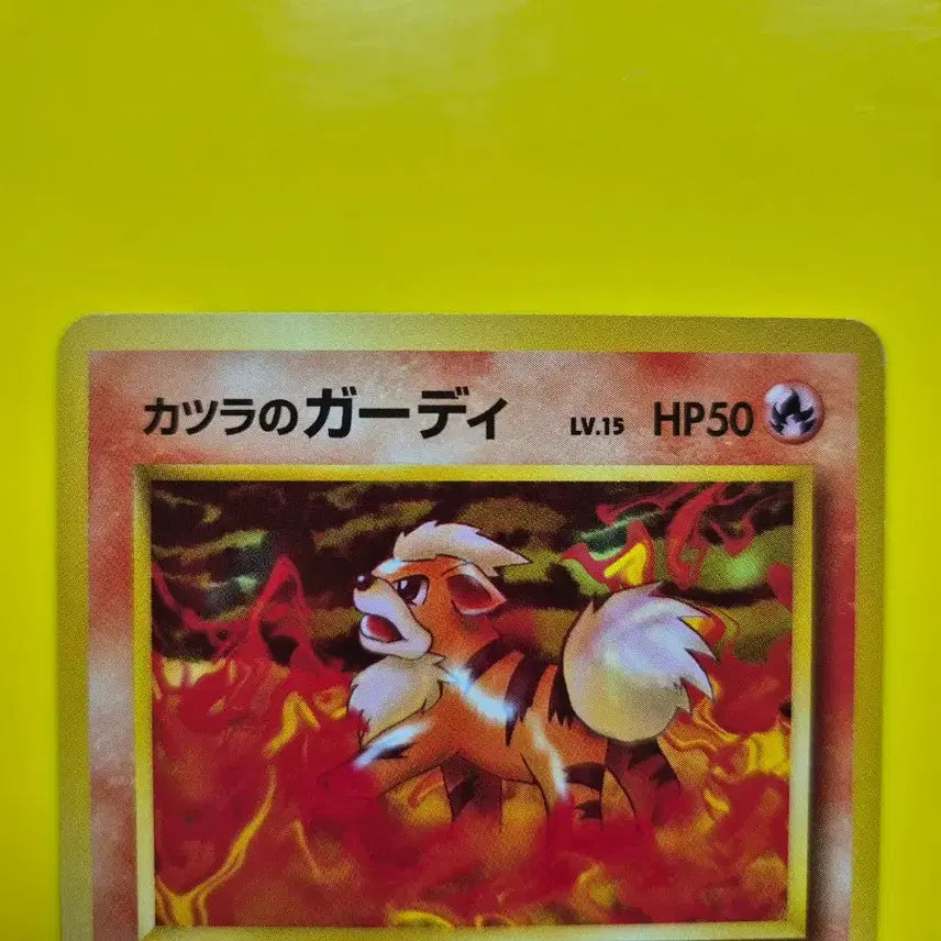 [BUNJANG] Pokemon Card Charizard Golem Jungle 1st Edition / 포켓몬카드 1996 s급 화염불꽃속 가디 짐 초판 팜