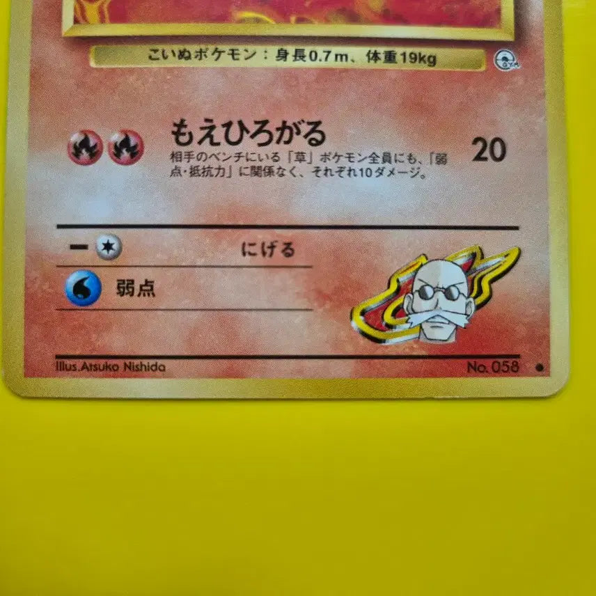 [BUNJANG] Pokemon Card Charizard Golem Jungle 1st Edition / 포켓몬카드 1996 s급 화염불꽃속 가디 짐 초판 팜