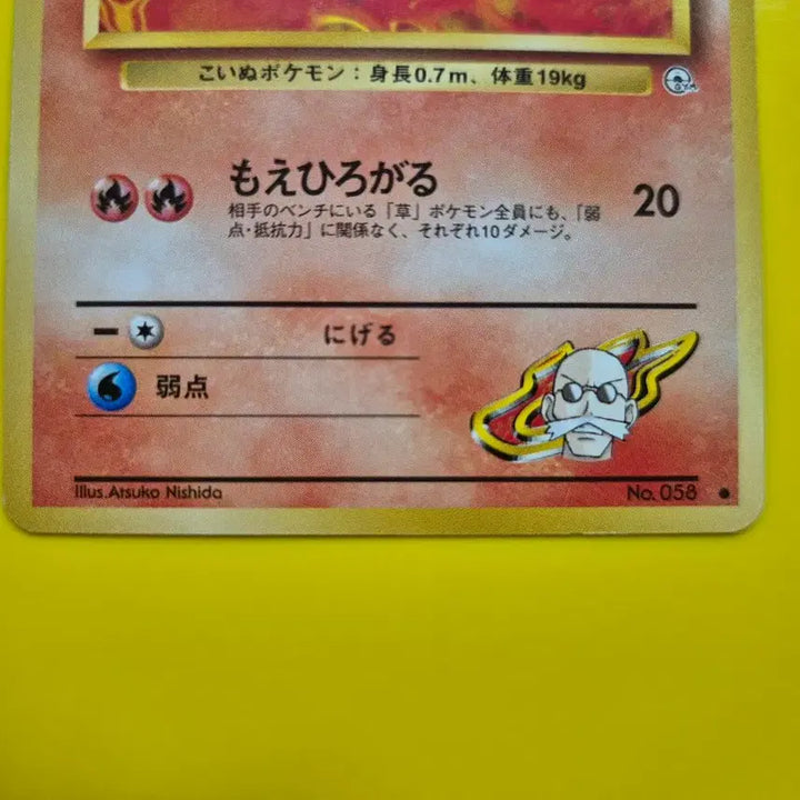 [BUNJANG] Pokemon Card Charizard Golem Jungle 1st Edition / 포켓몬카드 1996 s급 화염불꽃속 가디 짐 초판 팜