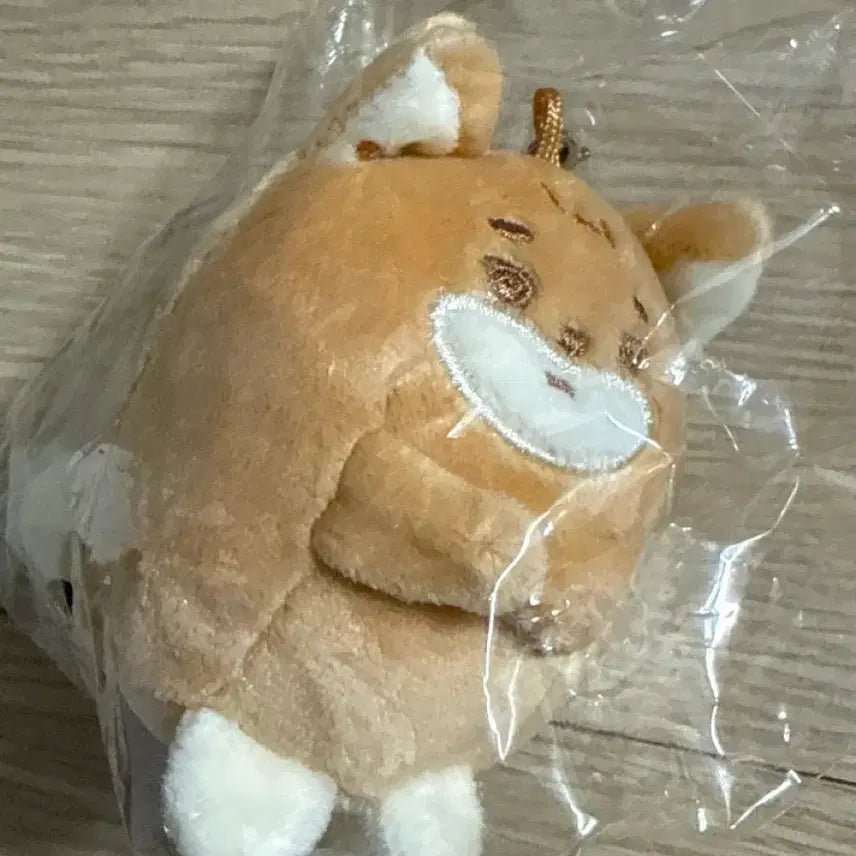 [BUNJANG] Day6 Petit Mals Plush Hug Keyring / 데이식스 쁘띠멀즈 플러시 허그 키링 케