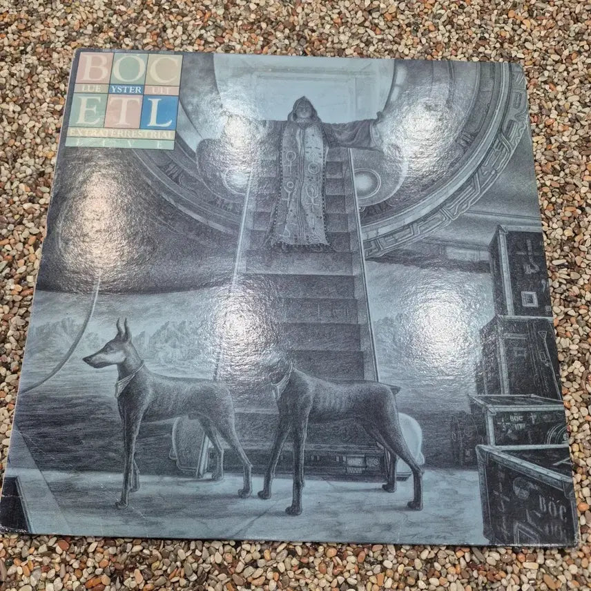 [BUNJANG] Blue Oyster Cult LP (Korean License) / LP  BOC Blue Oyster Cult 국내 라이센스