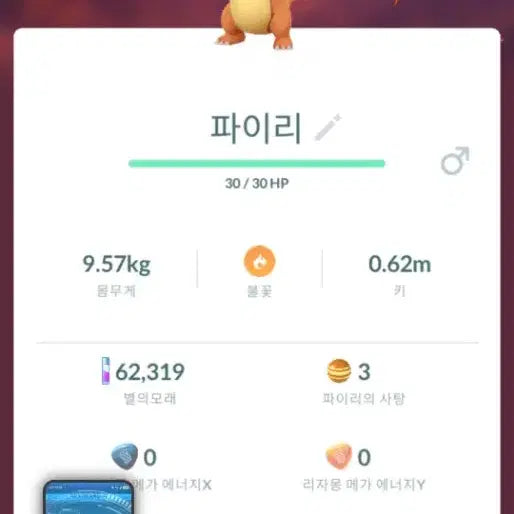 [BUNJANG] Pokemon Charizard Plush Doll / 새상품) 포켓몬 파이리 인형